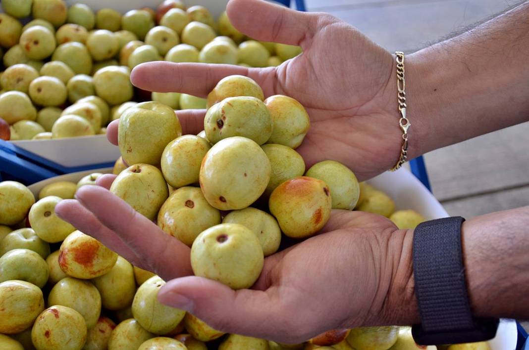 Kilosu 125 TL: Hem tok tutuyor, hem bağışıklığı güçlendiriyor! 5